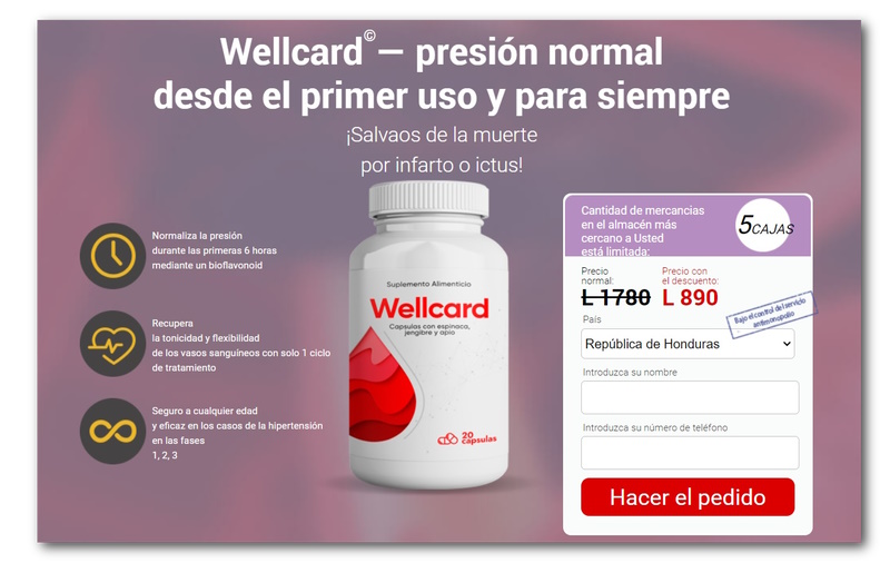 wellcard pagina oficial